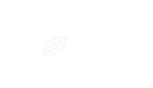 Wocch