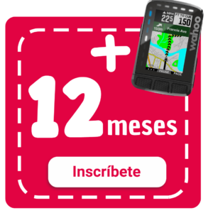 Training Plan 12 meses